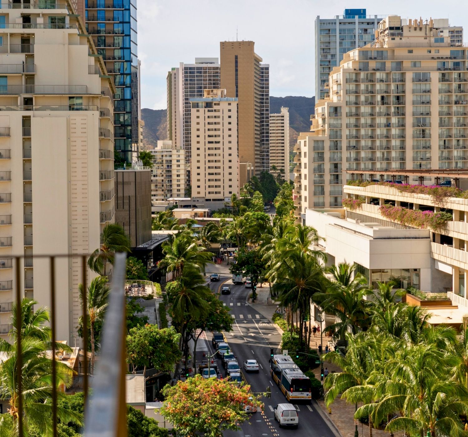 A cityscape featuring tall buildings, a busy street lined with palm trees, and a clear sky in the background.
