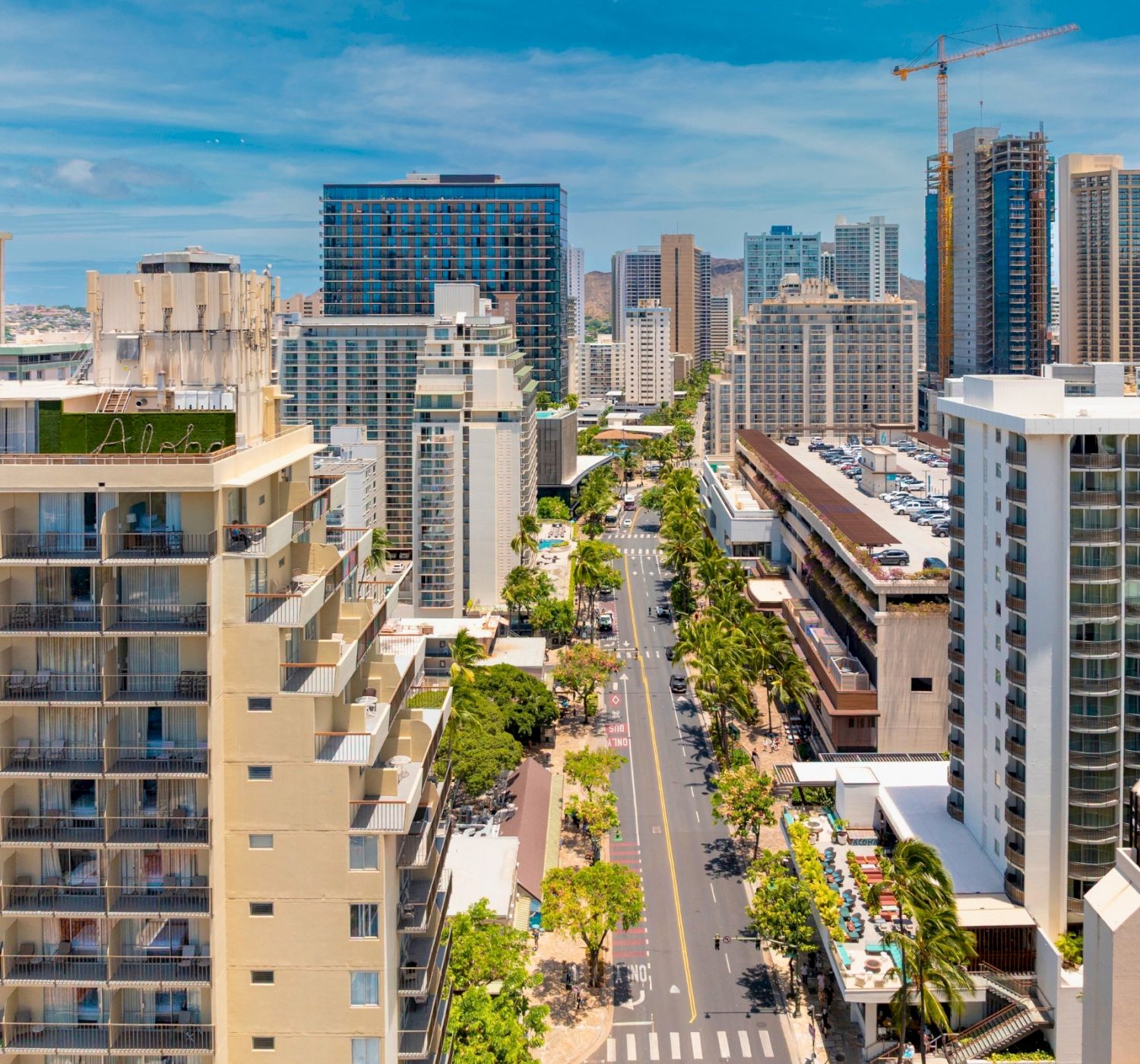 A cityscape featuring tall buildings, a central road lined with trees, and a blue sky with some clouds above the skyline.