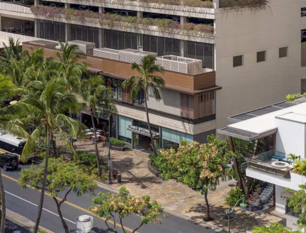 A street view with a few buildings, palm trees, and a parked bus on the road.