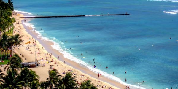 Aerial view of a beach with people and palm trees